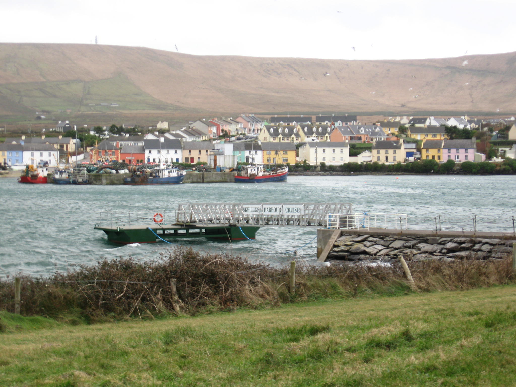 looking at Portmagee